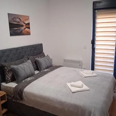 Apartman Andrijana Appartement Vrnjačka Banja